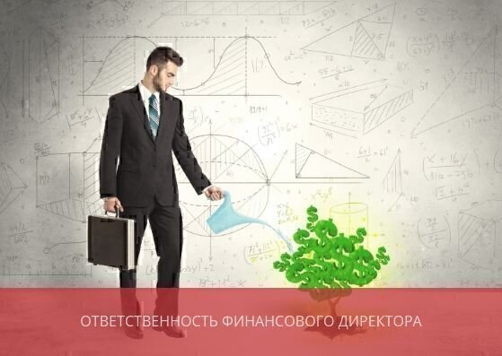 Ответственность финансового директора
