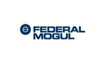 FEDERAL MOGUL