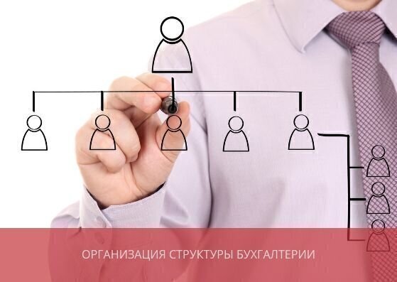 Организация структуры бухгалтерии