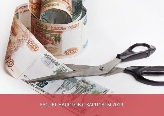 Расчет налогов с зарплаты