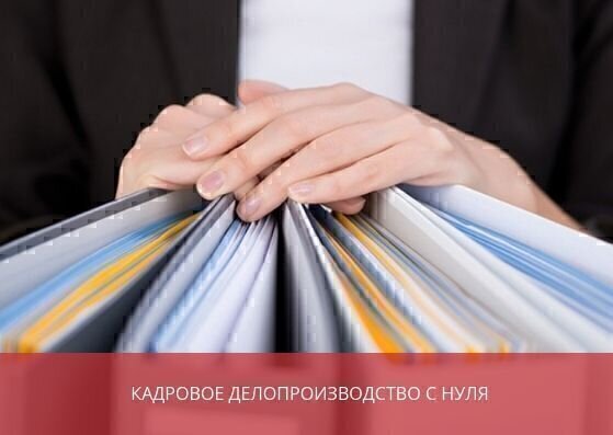 Кадровое делопроизводство с нуля