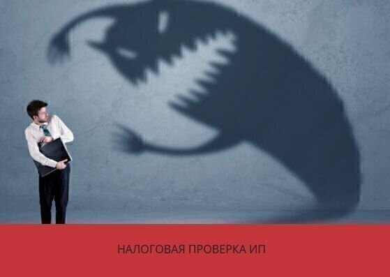Налоговые проверки ИП