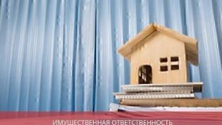 Имущественная ответственность учредителя и директора ООО