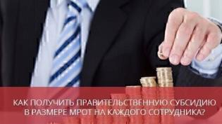 Как получить правительственную субсидию в размере МРОТ на каждого сотрудника?
