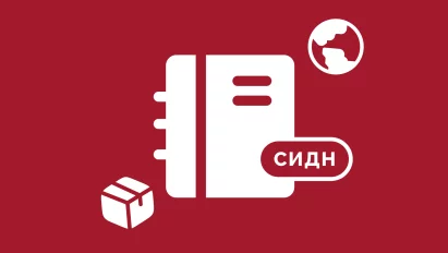 Соглашение об избежании двойного налогообложения: что это и как избежать ошибок при использовании в России 