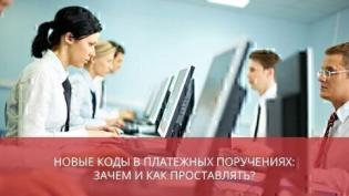 Новые коды в платежных поручениях: зачем и как проставлять?