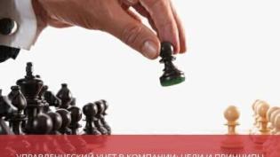 Управленческий учет в компании: задачи, цели и принципы