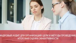 Кадровый аудит для организаций: цели и методы проведения, итоговая оценка эффективности