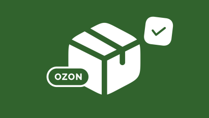 Бухгалтерский учет на Ozon: полное руководство для продавца