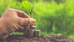 Зачем нужен уставной капитал? Почему компании важно заранее подумать о размере уставного капитала?