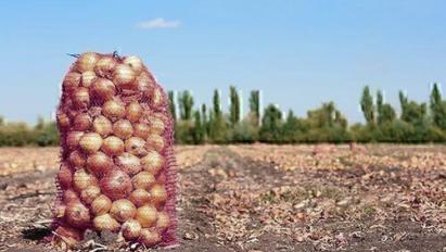 Об особенностях национального бизнеса в Китае