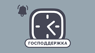 Селлерам на Wildberries перенесли уплату налогов на год