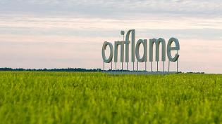 Headline-making case of Oriflame and its consequences for Russian subsidiaries of foreign companies