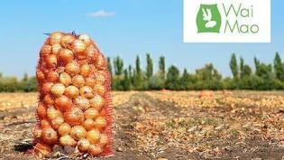 Об особенностях национального бизнеса в Китае