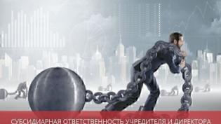 Субсидиарная ответственность учредителя и директора ООО по долгам в 2021 году