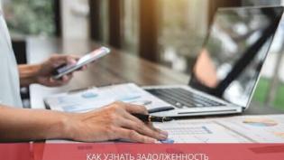 Как узнать задолженность ИП и ООО по налогам по номеру ИНН? 